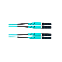 FZ2ERLNLNSNM030 - 2