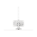 CSHB8C/SP/4G/W - 12