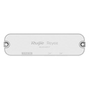 RG-ES103F-P - 2