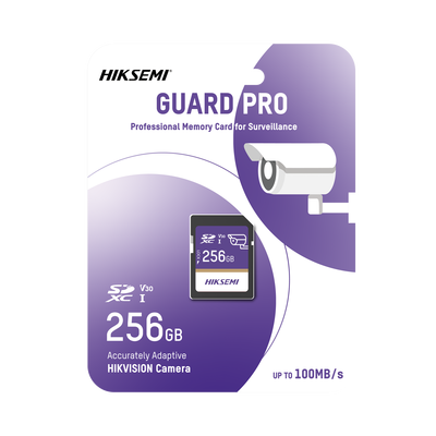 HS-SD-P10/256G/GUARDPRO - 2