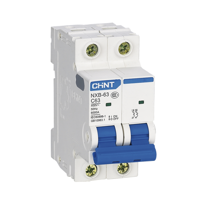 Pastilla para Riel Din, 2 Polos, 10 Amp, Vca:110/415v, 6kA, Catálogo: NXB632PC10, Serie: NXB-63. | NXB632PC10