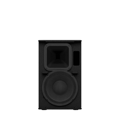 Altavoz de Montaje en Superficie de 2 vias | Woofer 10'' | Tweeter 1.4" | 8ohms | Color Negro | 350W | Gabinete de Madera | CHR10