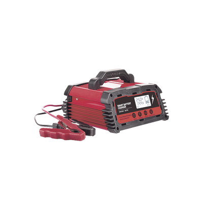 Cargador de Baterías / 12 o 24 Vcc / hasta 250 Ah / 25 A / Display LCD | CHR-250