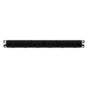 Panel de Parcheo / 24 Puertos / Categoría 6A / 1 UR / Plano / Negro | CP246X88BL