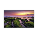 Pantalla Profesional LED de 55", UHD 4K (3840x2160p), Entradas de Video HDMI, Bocinas Integradas de 10 W. Compatible VESA | QB55C