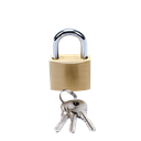 Candado de Latón Cuerpo 40 x 40 mm Con 3 Llaves. Diam. de Perno: 6.2 mm | PST-A010-03