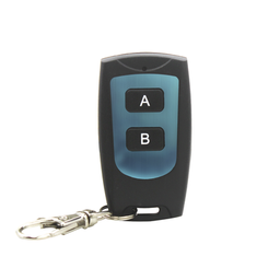 [ACCESS807M2] Control Remoto de 2 Botones / Compatible con Receptor ACCESS8072P | ACCESS807M2