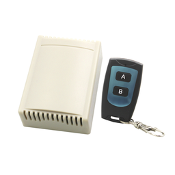 [ACCESS8072P] Receptor de 2 Canales con Control Remoto  /  Soporta 40 Transmisores | ACCESS8072P