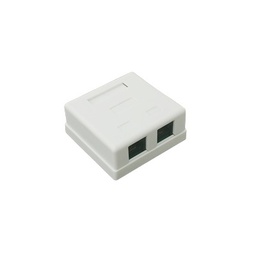 [LP-WP-09] Caja de Pared con Jack UTP Cat5e y Jack RJ11 Telefónico | LP-WP-09
