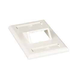 [CFPSL2IWY] Placa de Pared Vertical Clásica, Salida Para 2 Puertos Mini-Com Inclinados, Con Espacios Para Etiquetas, Color Blanco Mate | CFPSL2IWY