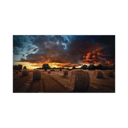 [VM55BU] Pantalla Profesional LED de 55" para Video Wall, Full HD (1080p), HDMI/DVI-D/DP, Bisel Ultra Delgado de 2.3mm. Compatible VESA 600x400 | VM55BU