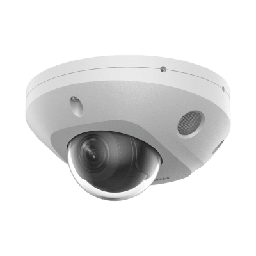 [DS-2CD2543G2-LIS2U] [Dual Light + 2 Micrófonos Integrados] Mini Domo IP 4 Megapixel / Lente 2.8 mm / 30 mts Luz Blanca + 30 mts IR / ACUSENSE / Exterior IP67 / IK08 /  WDR 120 dB / PoE / ONVIF / MicroSD / ACUSEARCH | DS-2CD2543G2-LIS2U