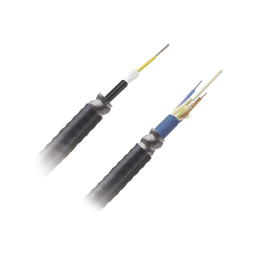 [FSGR912Y] Cable de Fibra Óptica de 12 Hilos, Monomodo OS2, Interior/Exterior, Armada, Loose Tube 250um, OFCR (Riser), Precio Por Metro | FSGR912Y